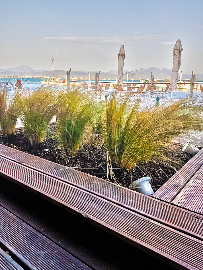 Seafood Restaurant Μιχάλης