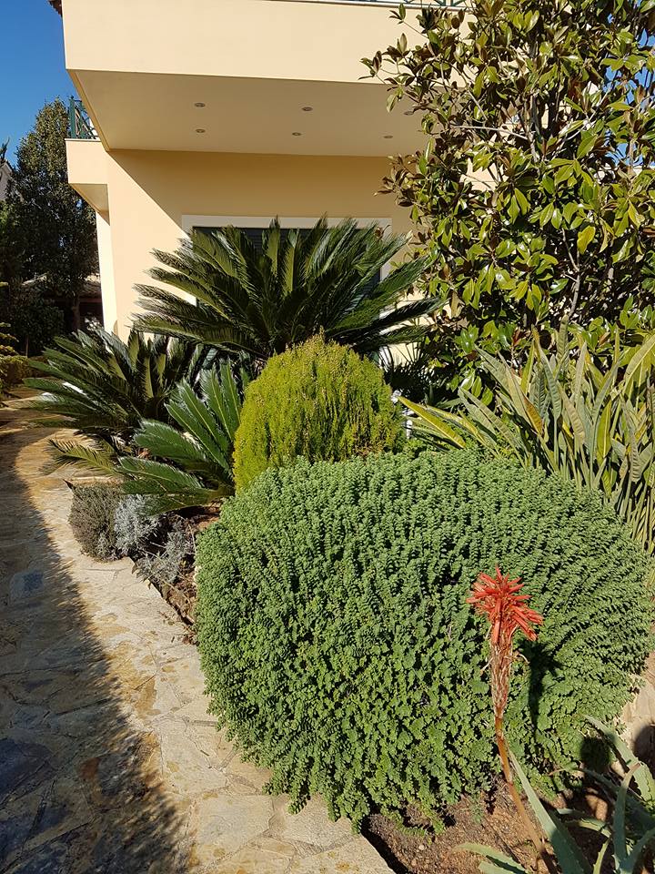 Ιδ. Κατοικία | Βάρη