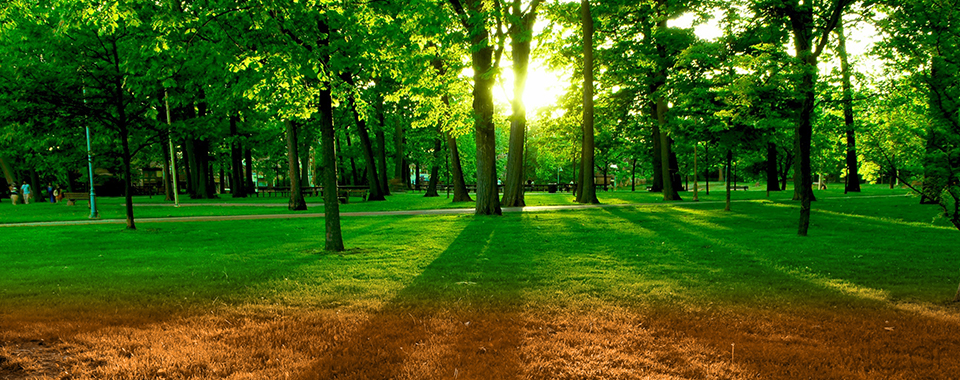 Αποκαταστάσεις Φυσικού Τοπίου - Δημήτρης Χαλκιάς