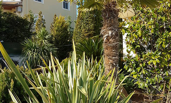 έργα πρασίνου