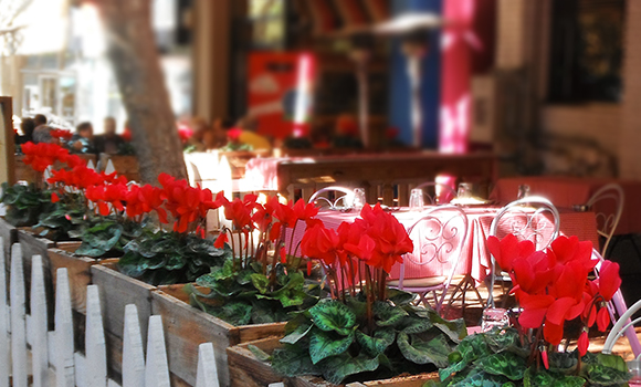 έργα πρασίνου