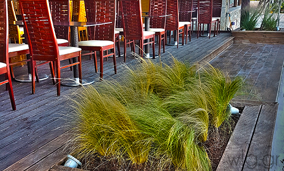 έργα πρασίνου