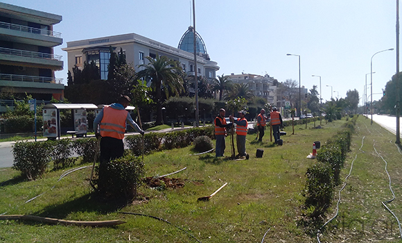 έργα πρασίνου