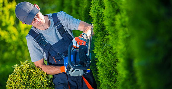 Κατασκευή & Συντήρηση Έργων Πρασίνου υπηρεσίες